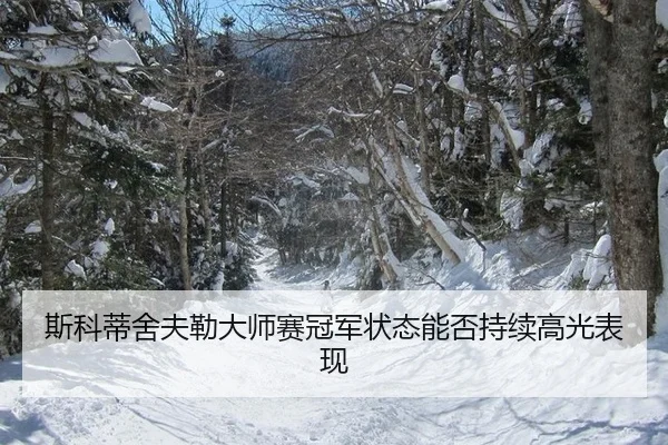 斯科蒂舍夫勒大师赛冠军状态能否持续高光表现